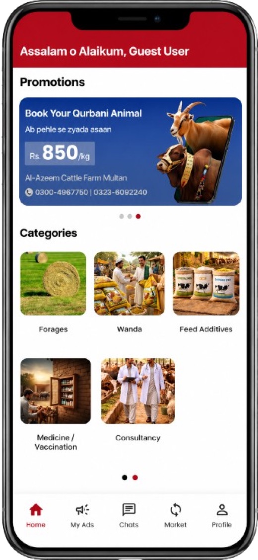 SK Livestock App — Browse live animals, goats, cows, buffaloes, and more across Pakistan